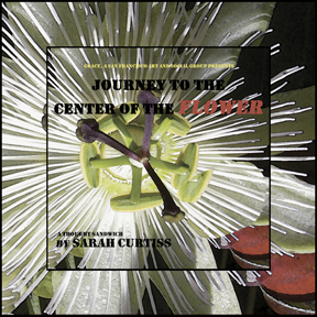 Journey to the Center of the Flower Book Cover