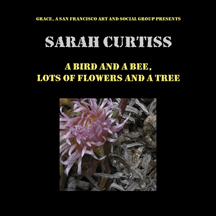 Flower book 1 cover with closeup of iceplant