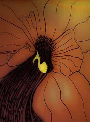 Yellow Bird